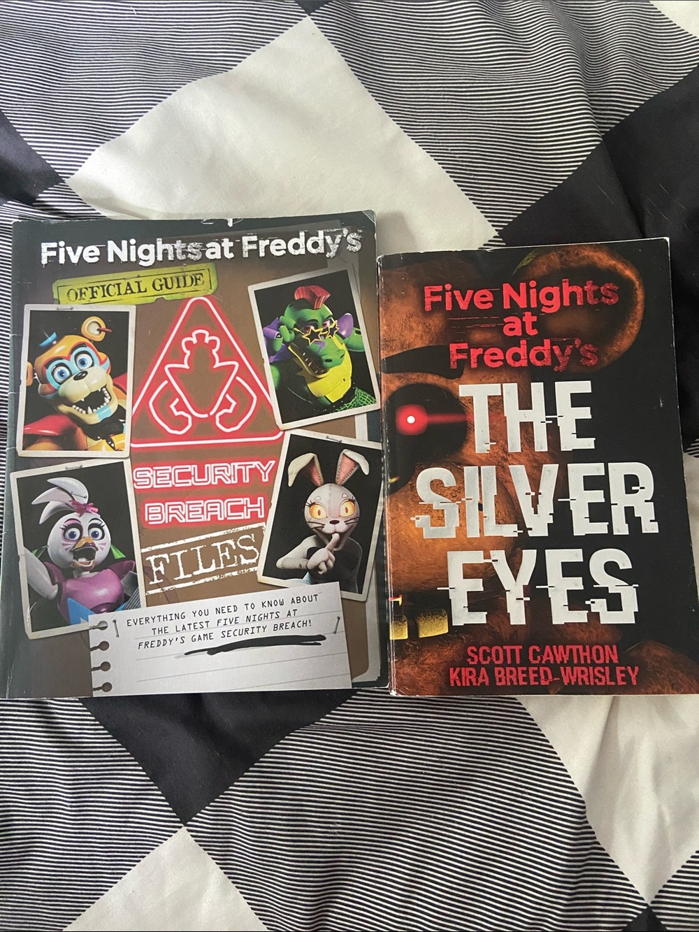 Lot of 2 Five Nights at Freddy’s Books